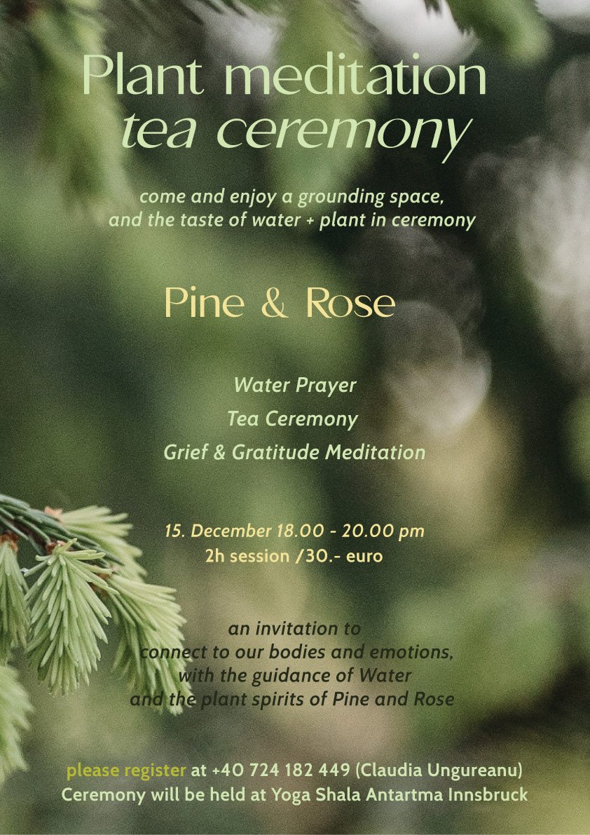 teaCeremony